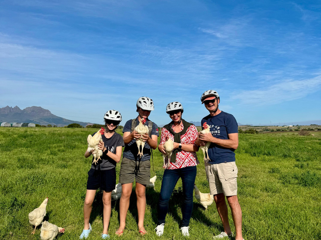 Segway Vineyard Tours-斯泰伦博斯必去景点