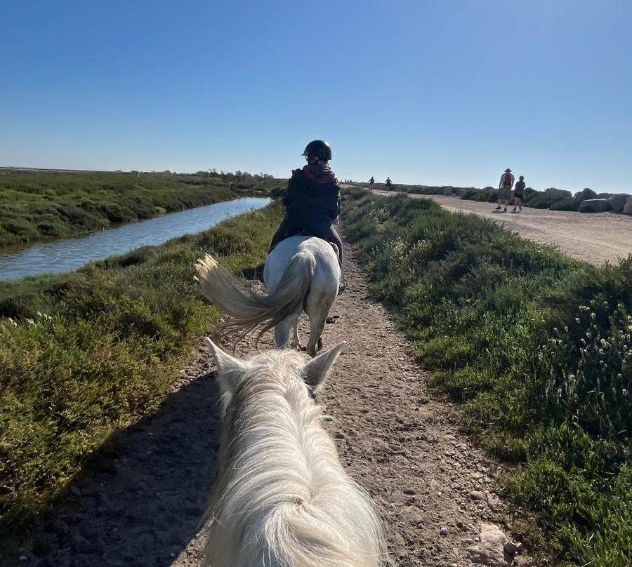 Centre Equestre Crin Blanc-滨海圣玛丽必去景点