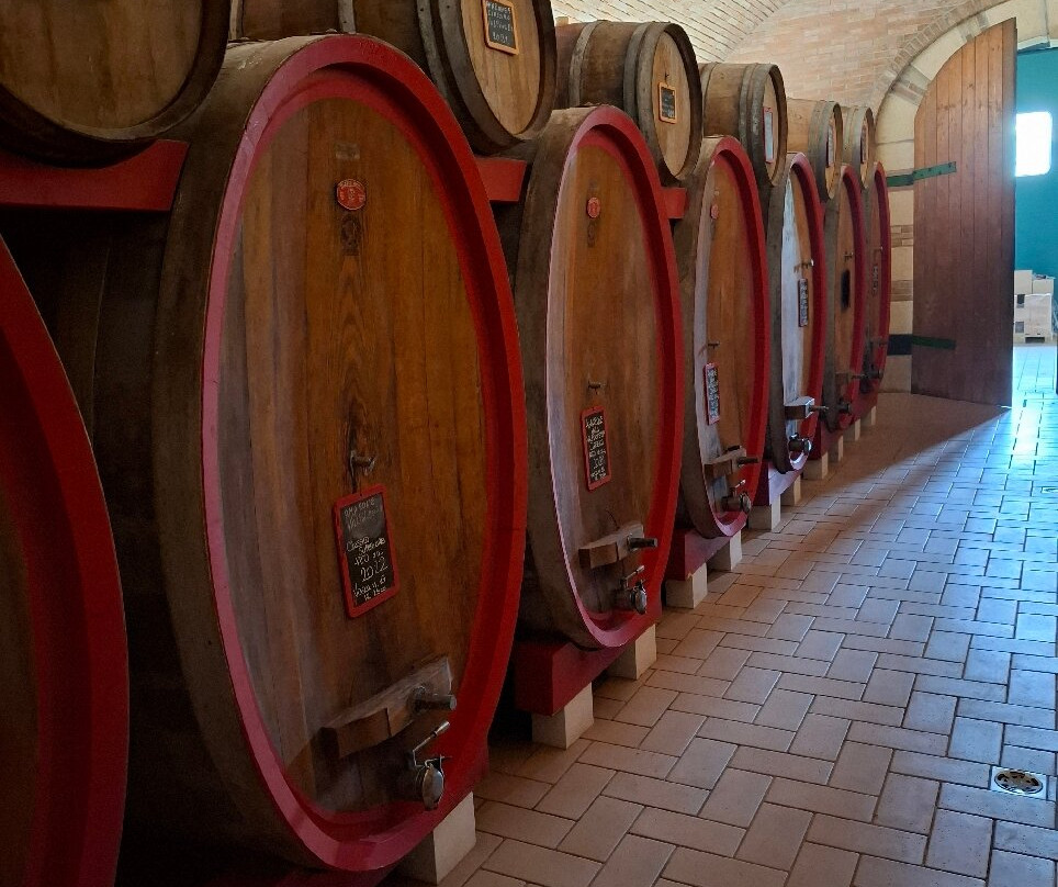 Le Bignele Winery景点图片