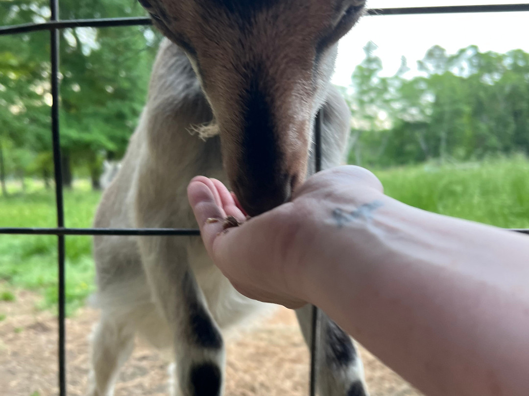 Inn at Celebrity Dairy主图