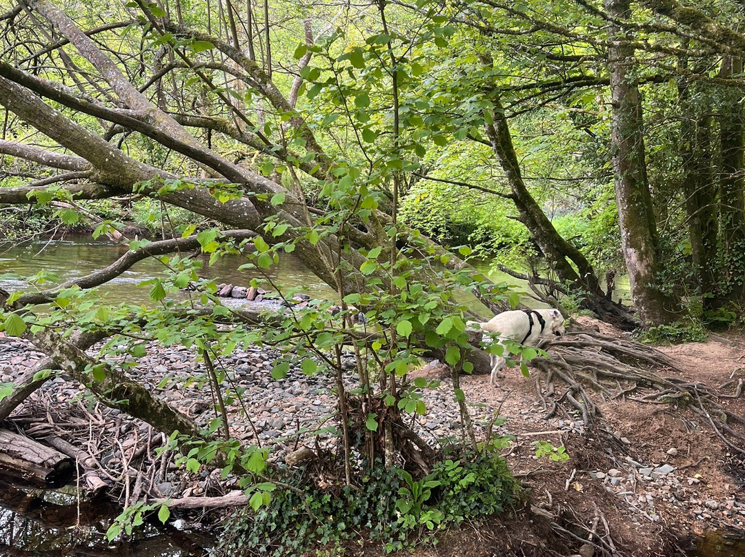 Parke-Bovey Tracey必去景点