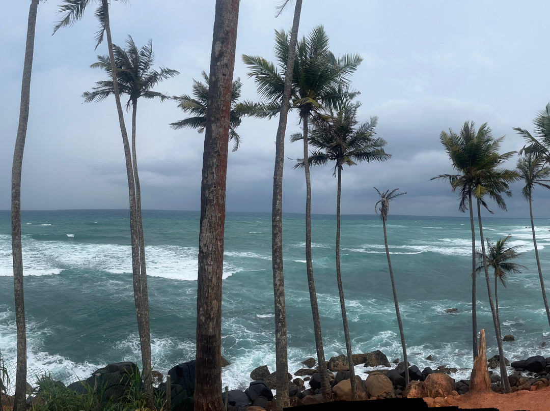 Coconut Tree Hill-美蕊沙必去景点
