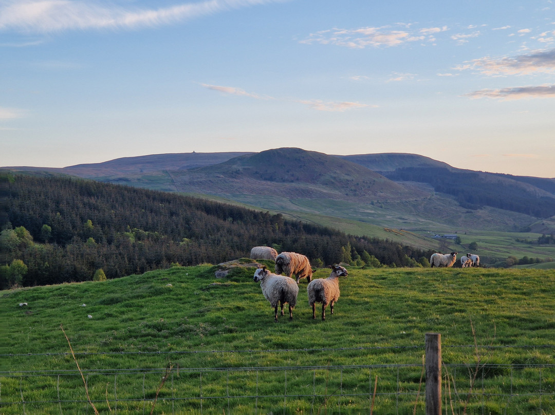 Loup of Fintry-Fintry必去景点