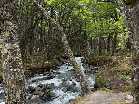 Glaciar Huemul-艾尔恰登必去景点
