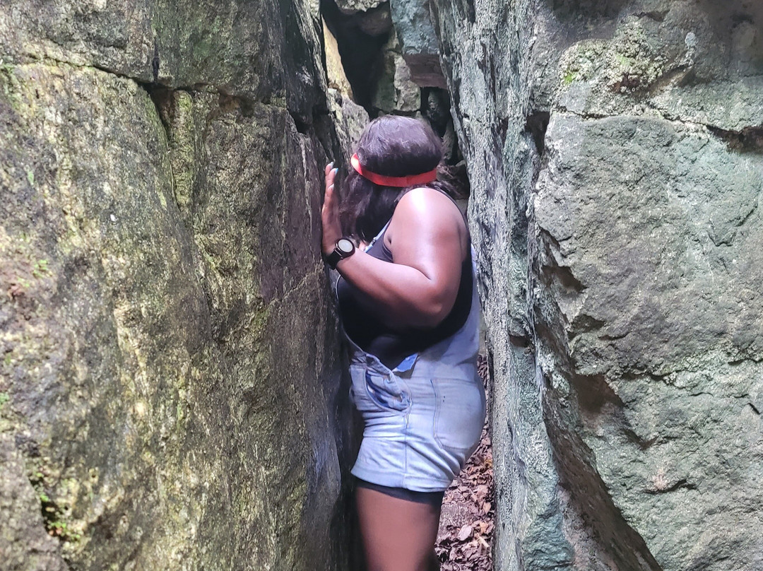 Step it Up Adventures-科林伍德必去景点