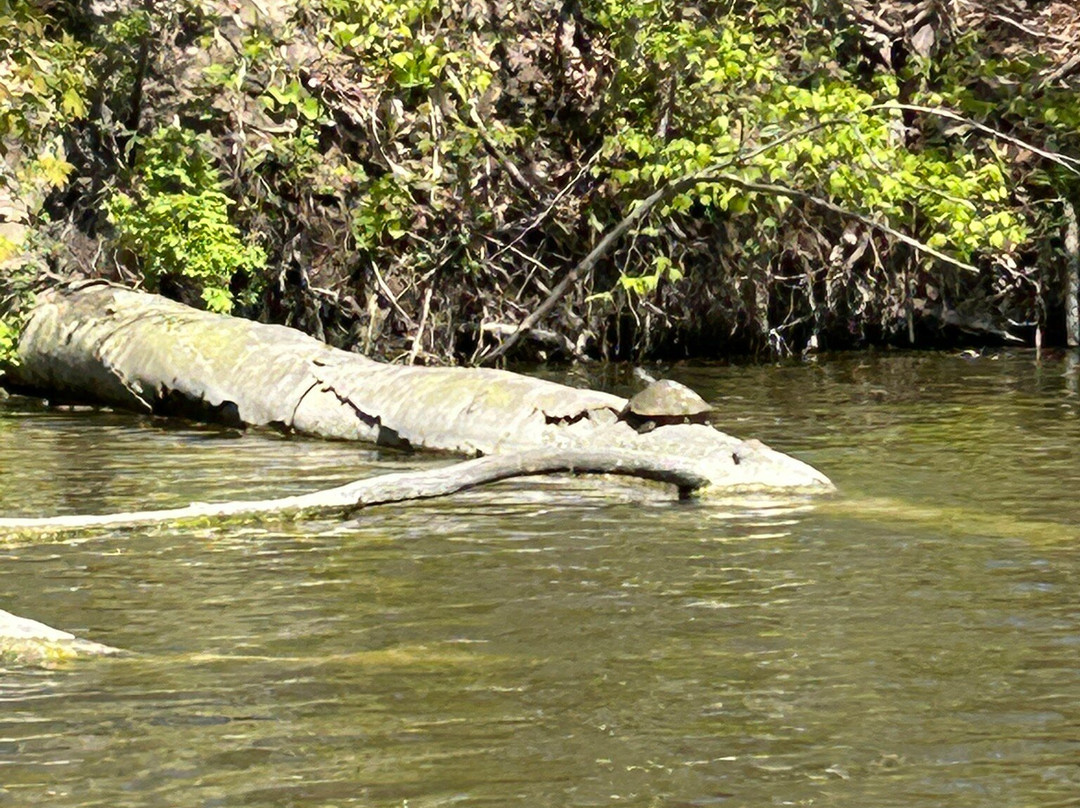 Sharon Creek Conservation Area景点图片