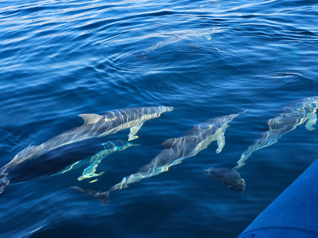 RAD KI-Stokes Bay必去景点
