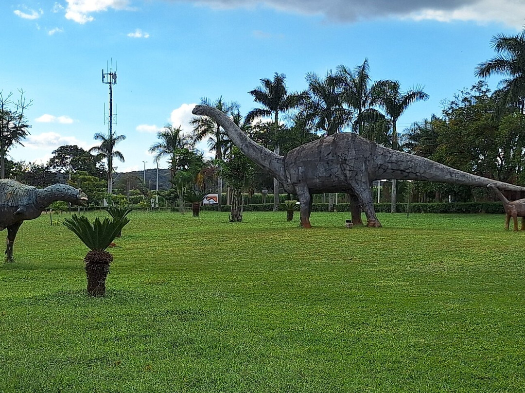 Museu Do Dinossauro景点图片