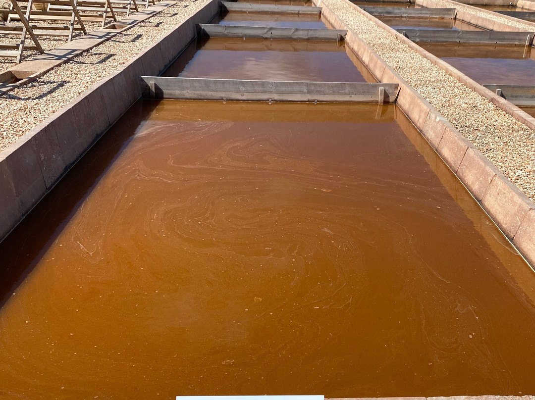 Sal de Menorca - Salinas de La Concepción-Mercadal必去景点