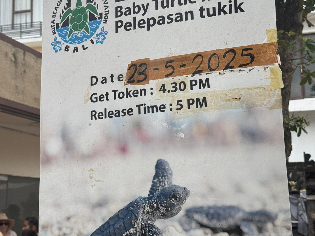 巴厘岛海龟协会-库塔必去景点