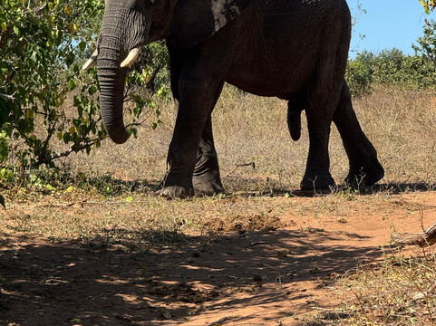 Passionate Tours and Travel-李文斯顿必去景点