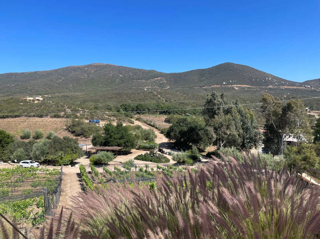 Clos de Tres Cantos景点图片