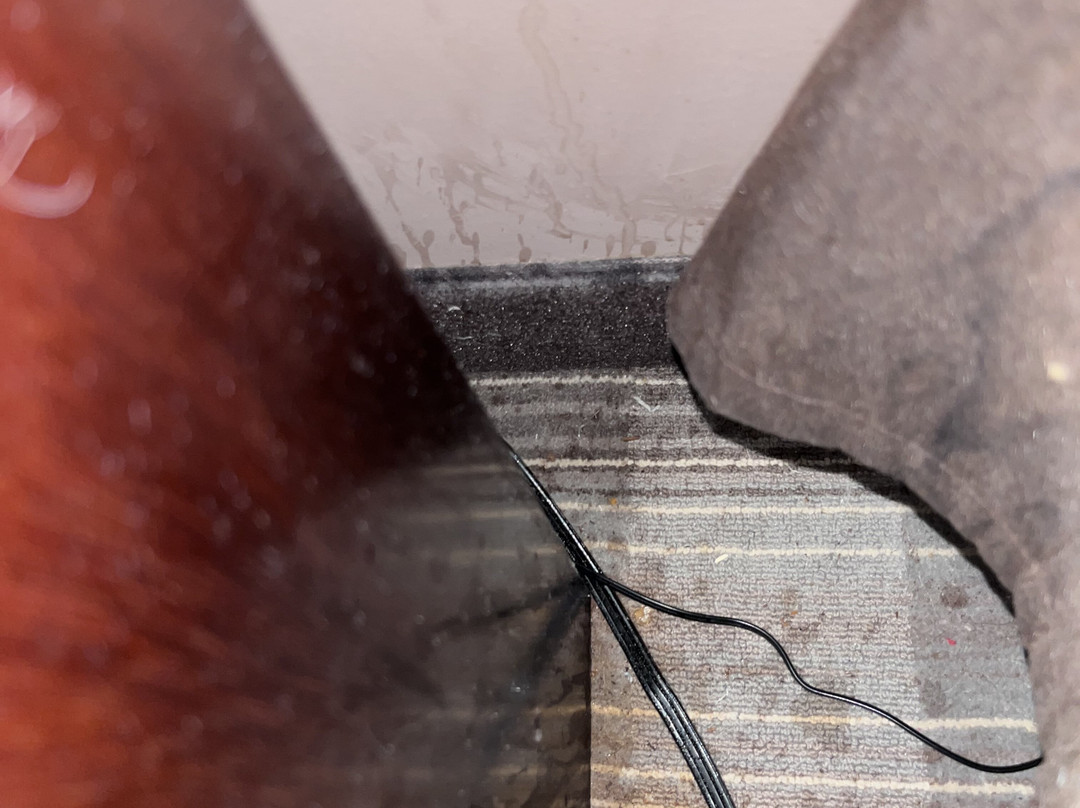 Best Western Plus Crawfordsville Hotel主图