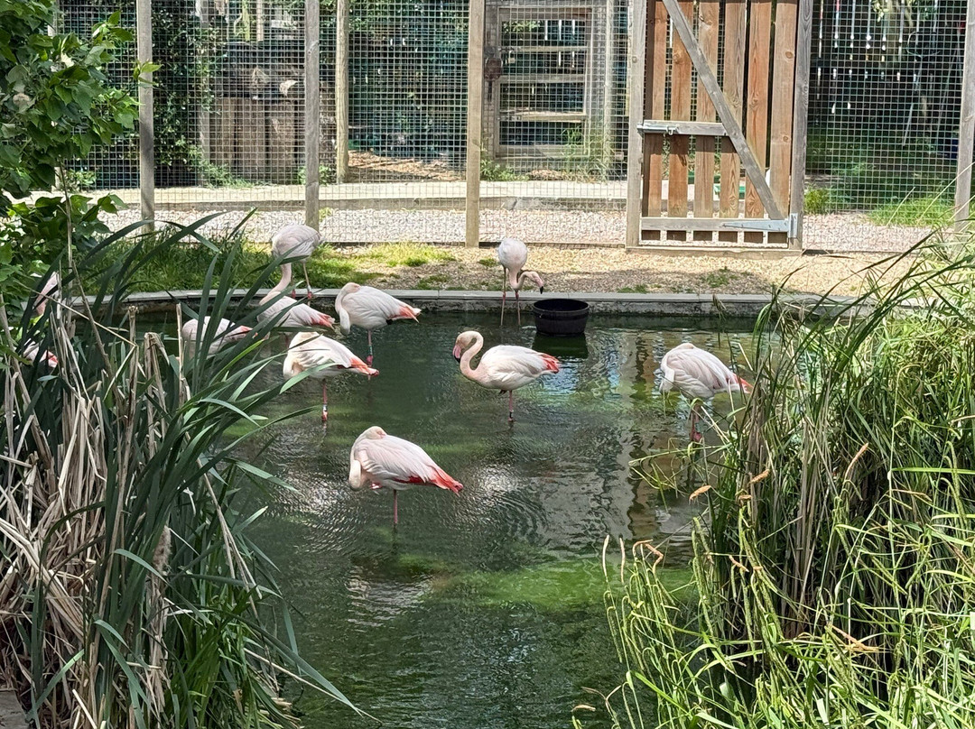 The Fenn Bell Conservation Project-St Mary Hoo必去景点