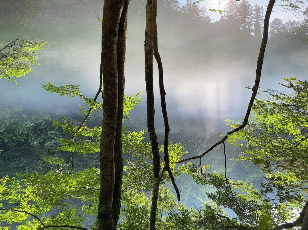 Ryugakubonomizu-津南町必去景点