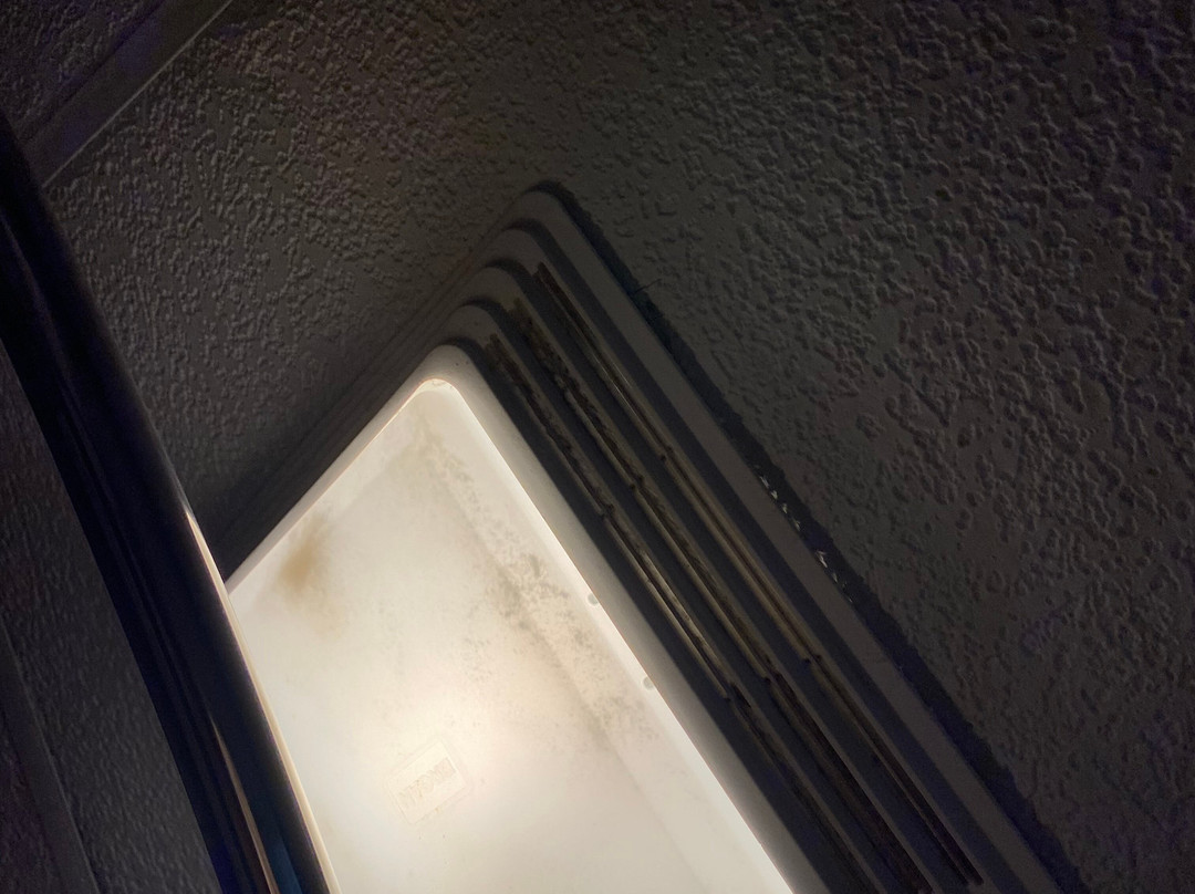 Super 8 by Wyndham Springdale AR主图