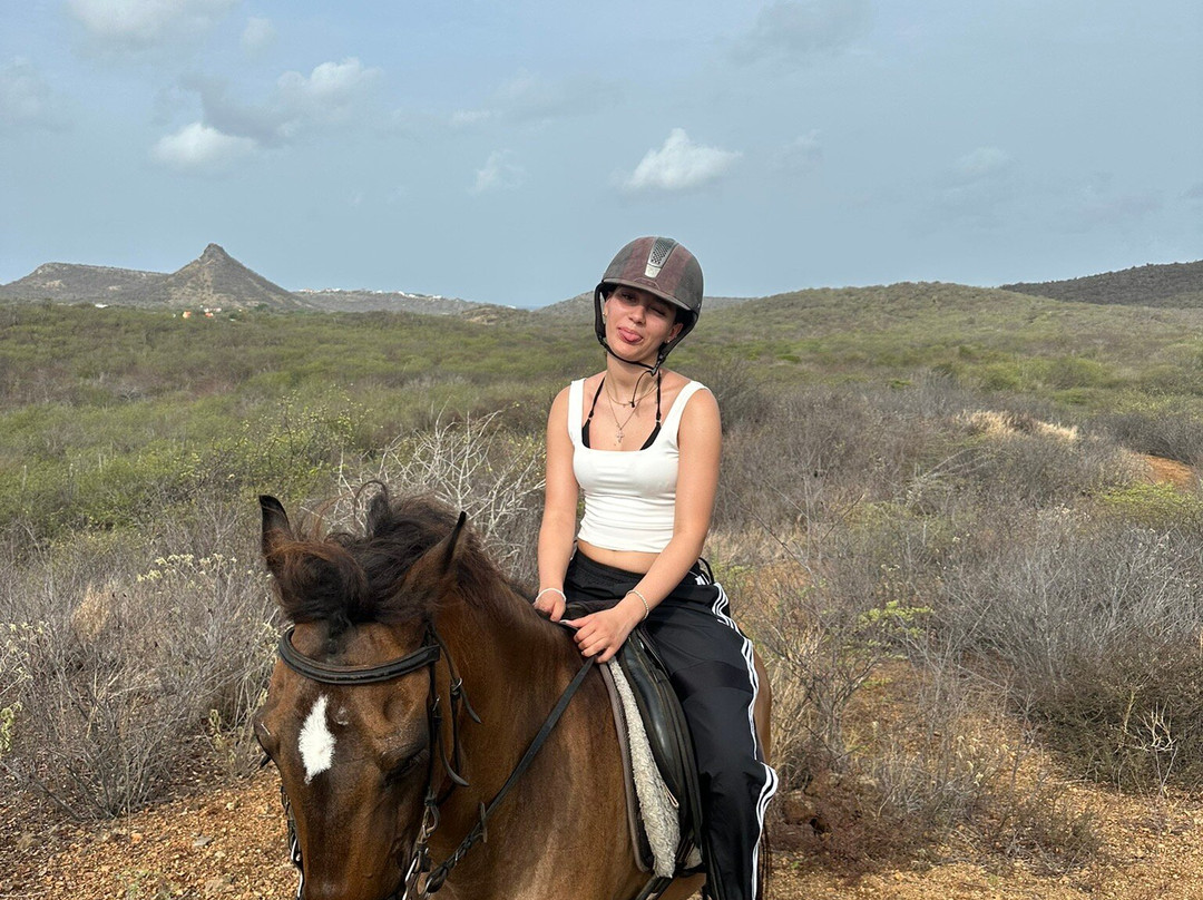 Rancho Alegre Curacao-Dorp Sint Michiel必去景点