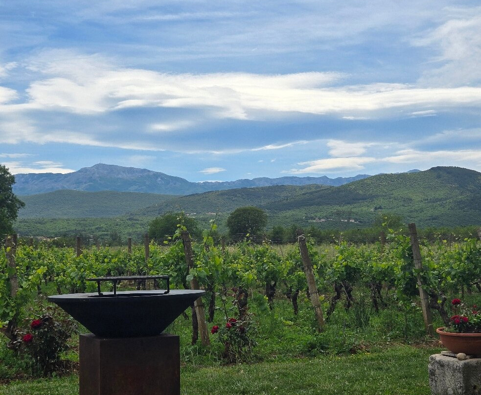 Grabovac Winery景点图片
