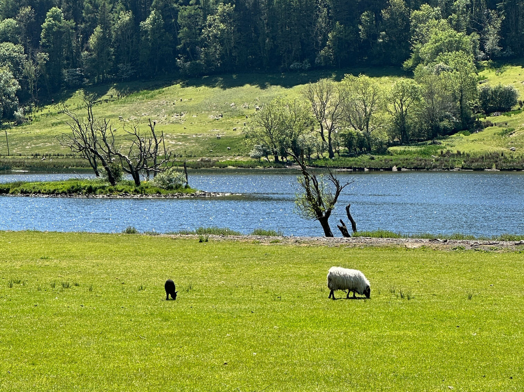 Overland Ireland景点图片