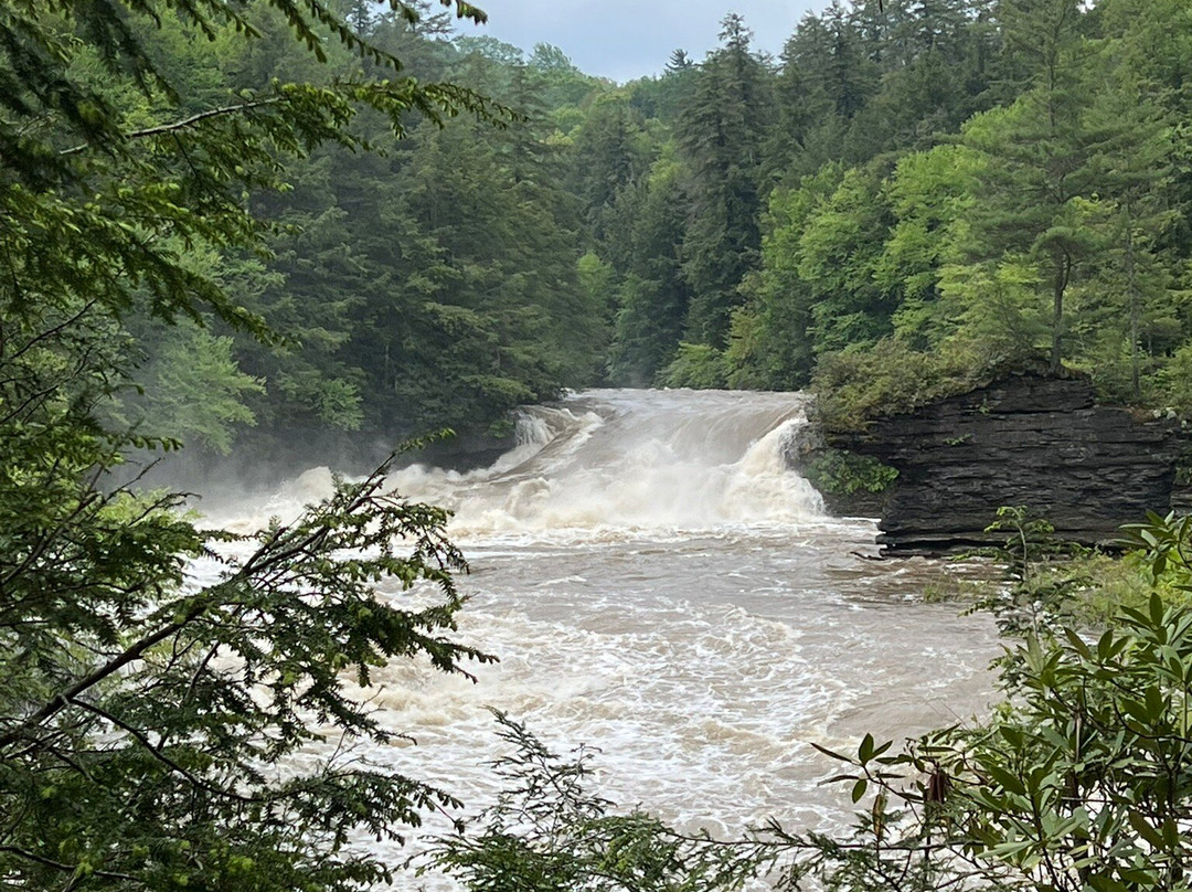 Swallow Falls State Park景点图片