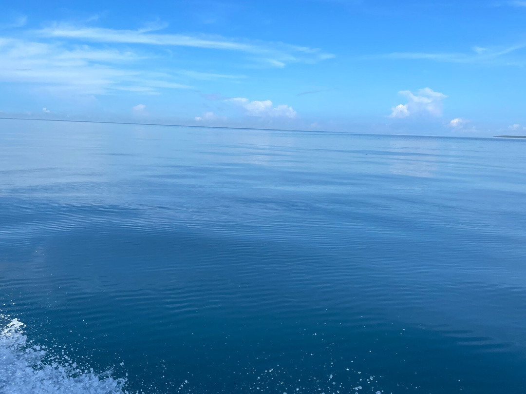 Big Blue Scuba Diving-维拉港必去景点