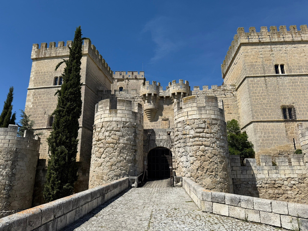 Castillo de Ampudia景点图片