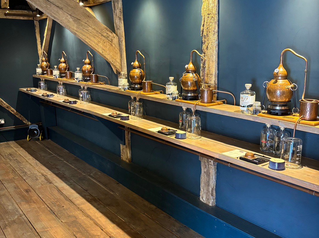 The Henley Distillery Gin Experience景点图片