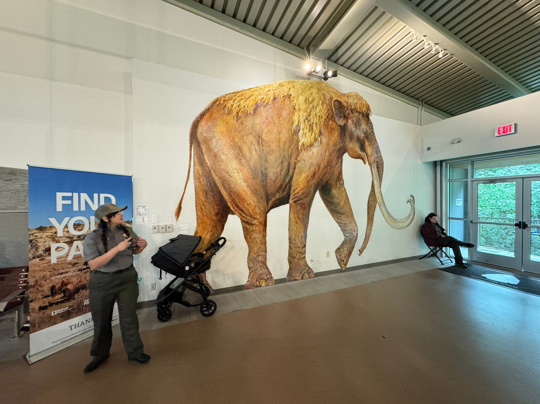 Waco Mammoth National Monument-韦科必去景点
