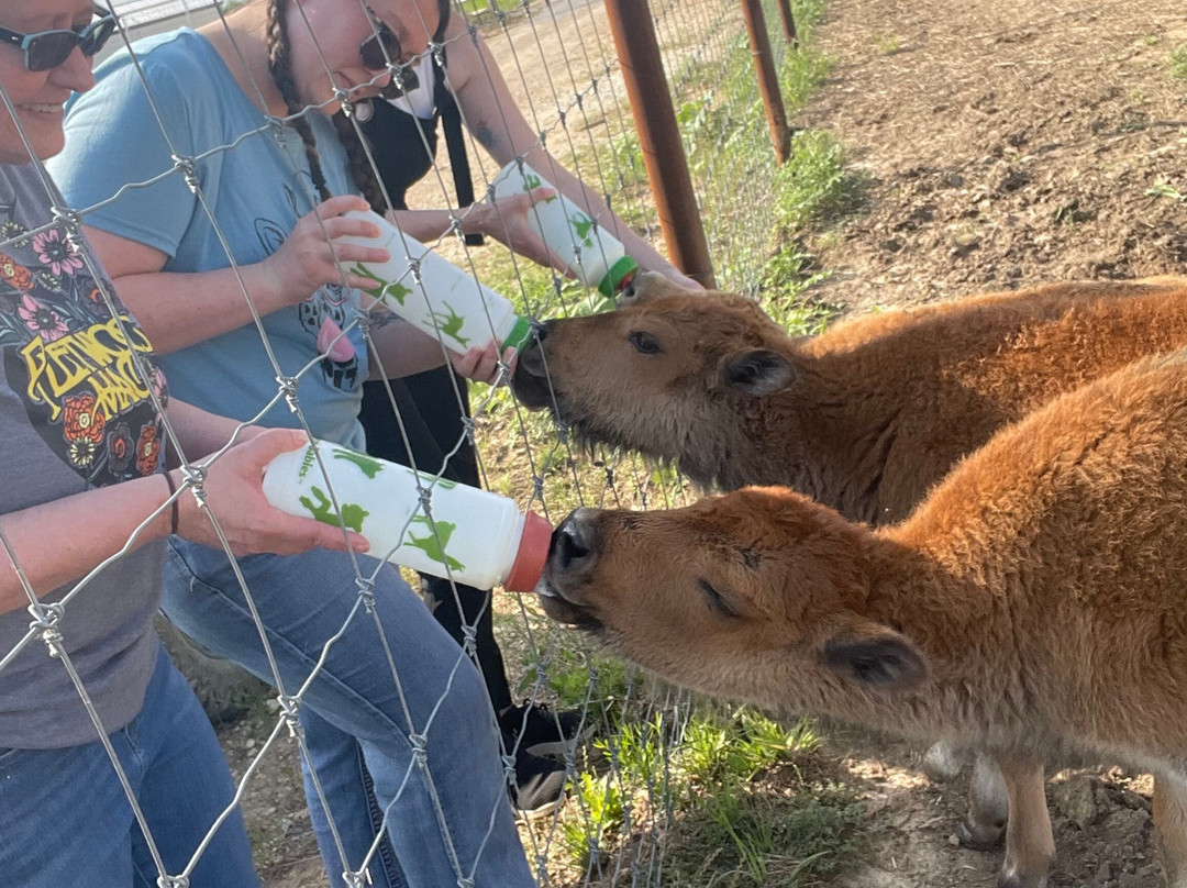 Blue Hills Ranch主图