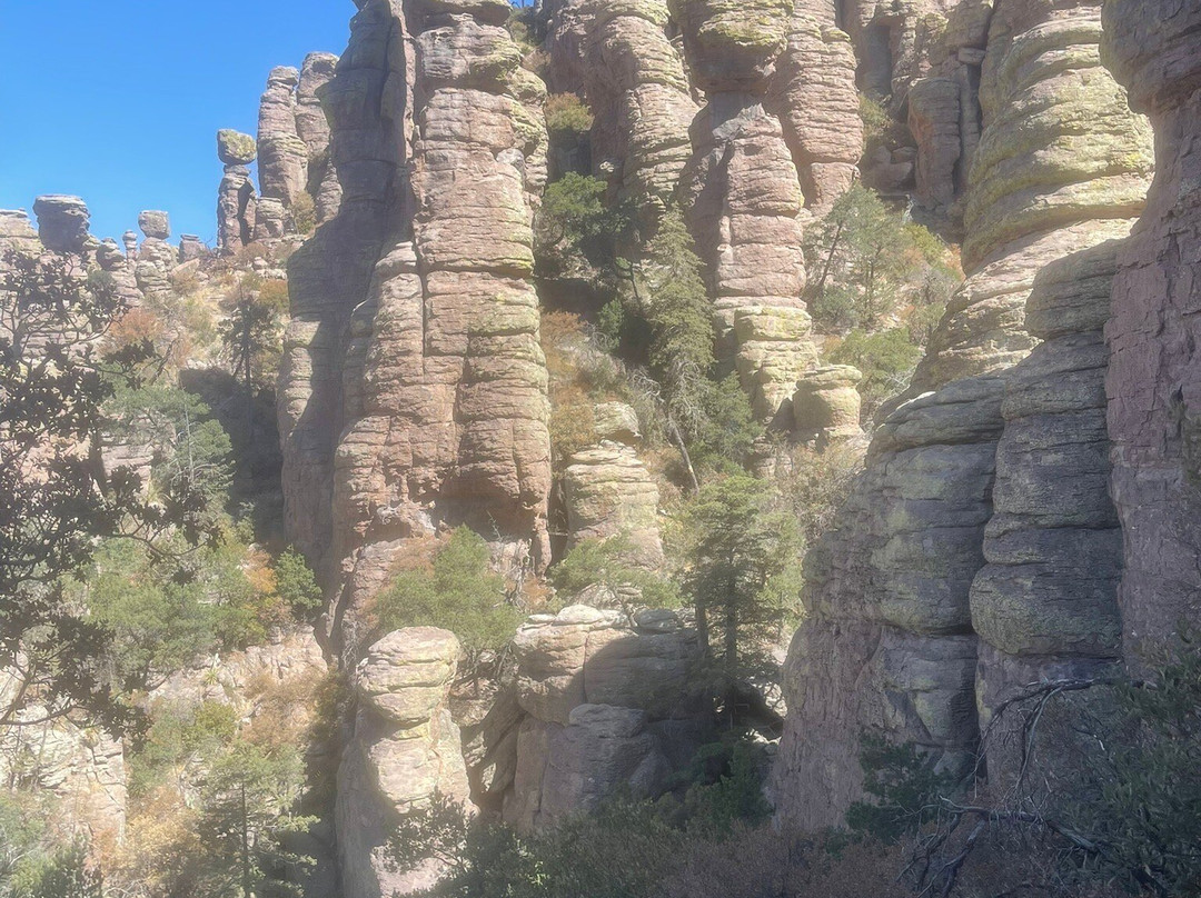Chiricahua National Monument-Willcox必去景点