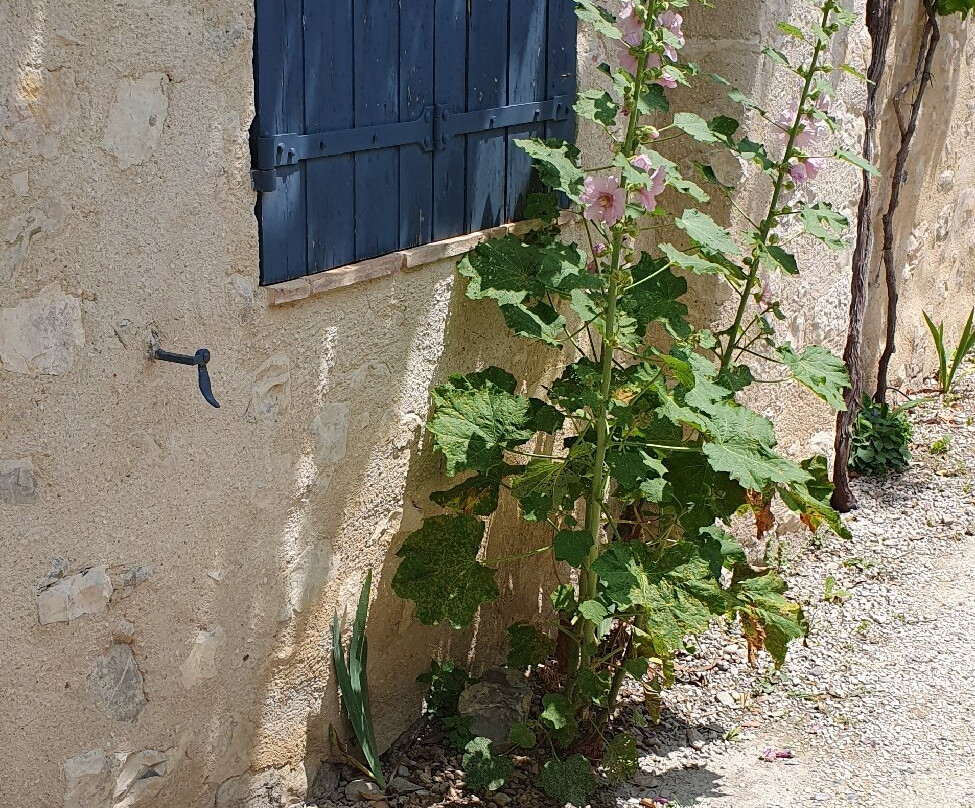 Village de Mirmande景点图片