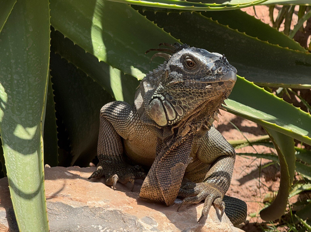 Agadir My Way Tours-阿加迪尔必去景点