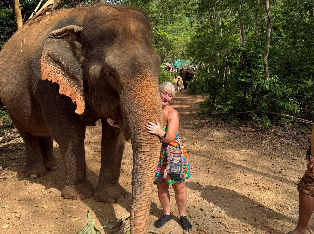 Pattaya Elephant Sanctuary-Bang Sare必去景点