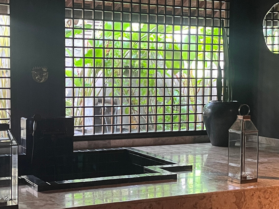 Ananda Spa by Samanvaya景点图片