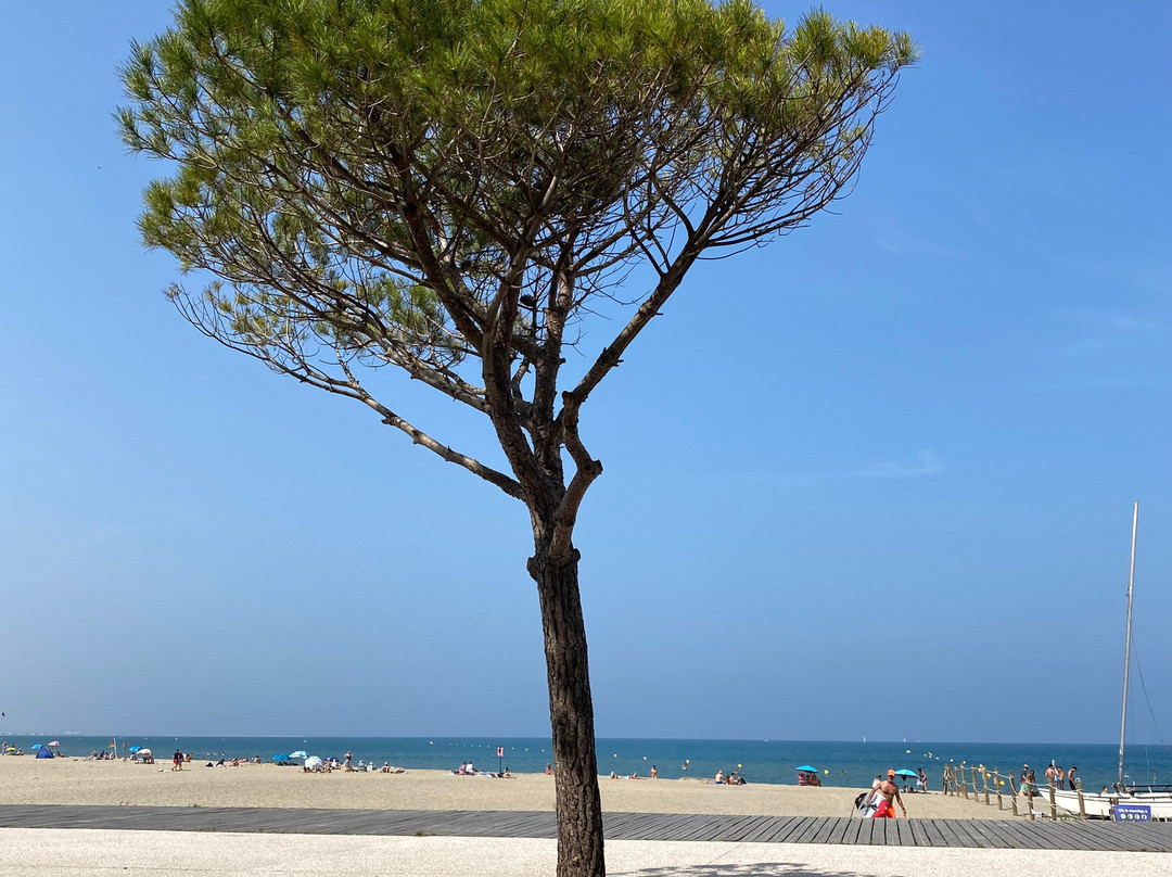 La Franqui Beach景点图片