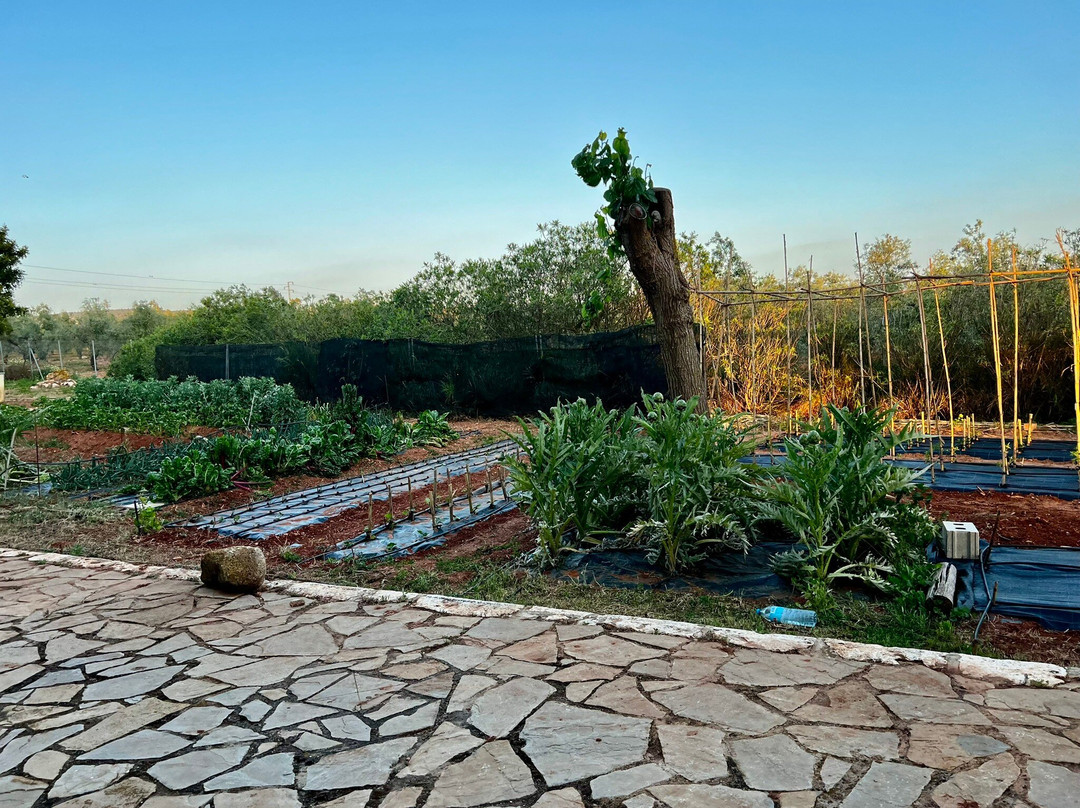 Casa Rural Hoyo Bautista主图