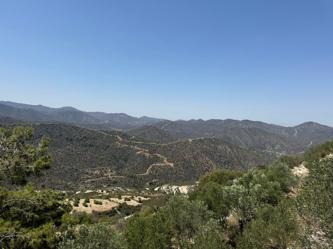 Terra Oliva Organic Olive Farm-Pano Lefkara必去景点