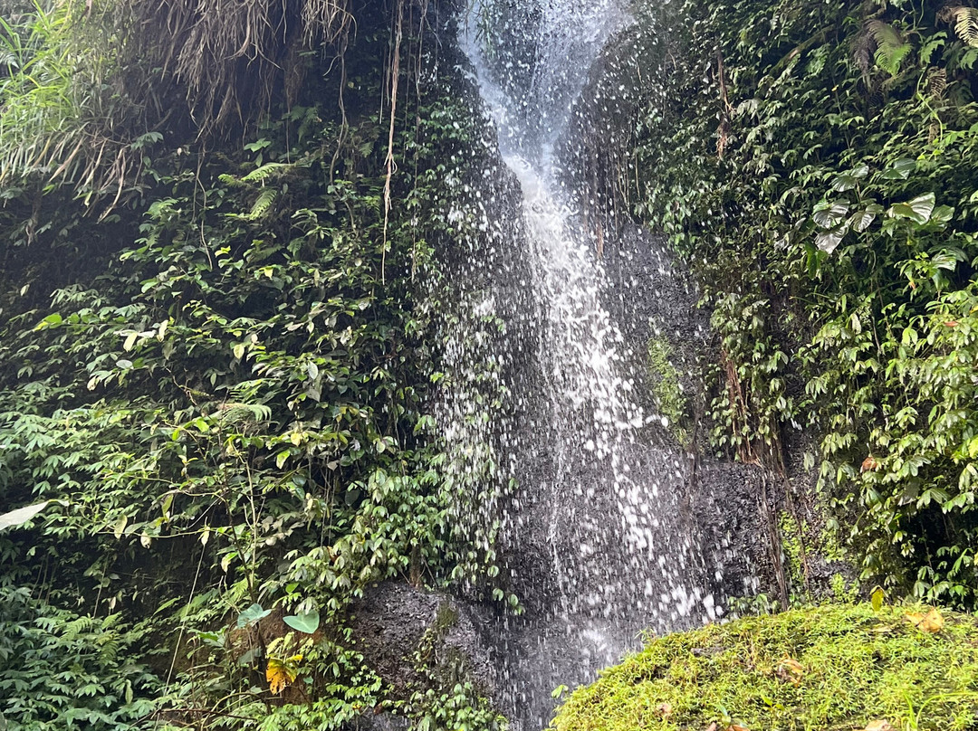 Bali Unique Driver-巴厘岛必去景点