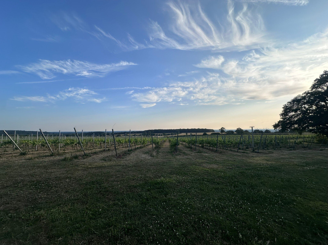 Blabers Hall Wine Estate-Fillongley必去景点