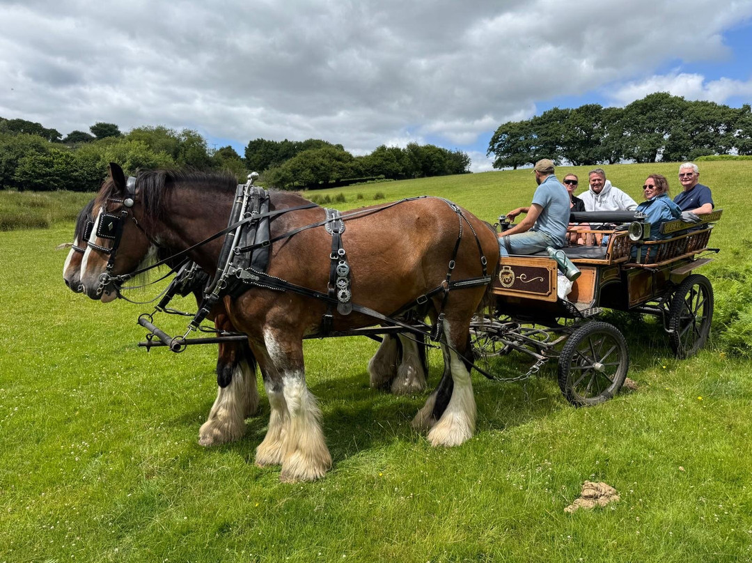Devon Shire Carriages-North Bovey必去景点