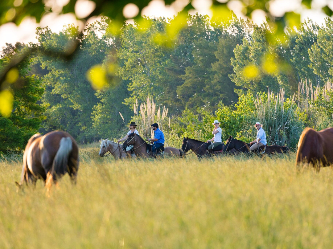 Estancia La Bandada主图