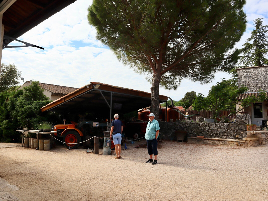 Maison de la Lavande - Domaine Lavandaïs-Saint-Remeze必去景点