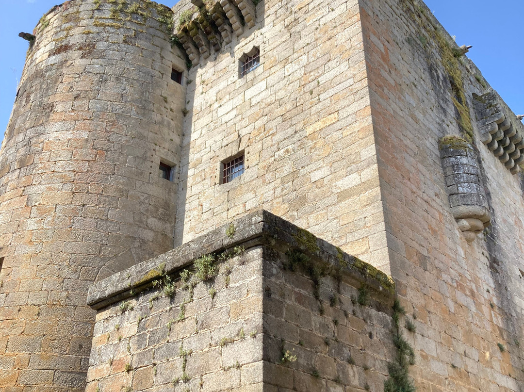 Castillo de Los Condes de Benavente-Puebla de Sanabria必去景点