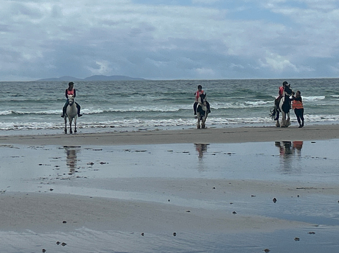 Calveys Equestrian Centre-Achill Island必去景点