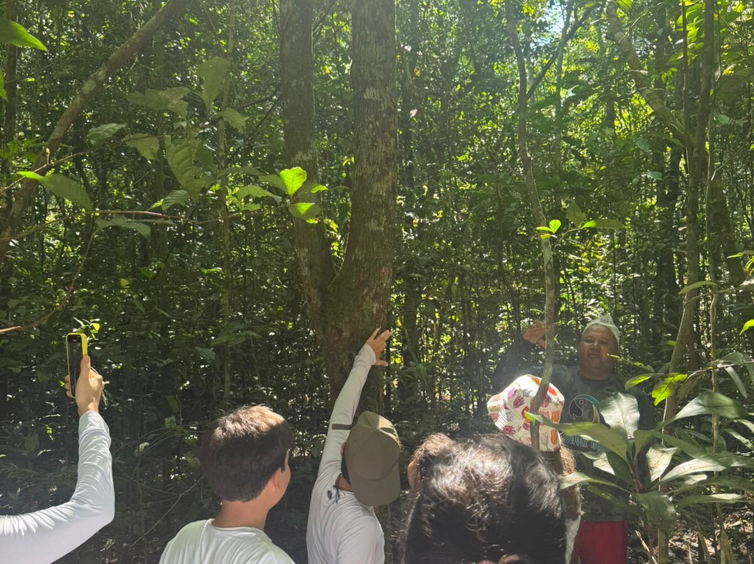 Amazonia Jungle Hotel主图