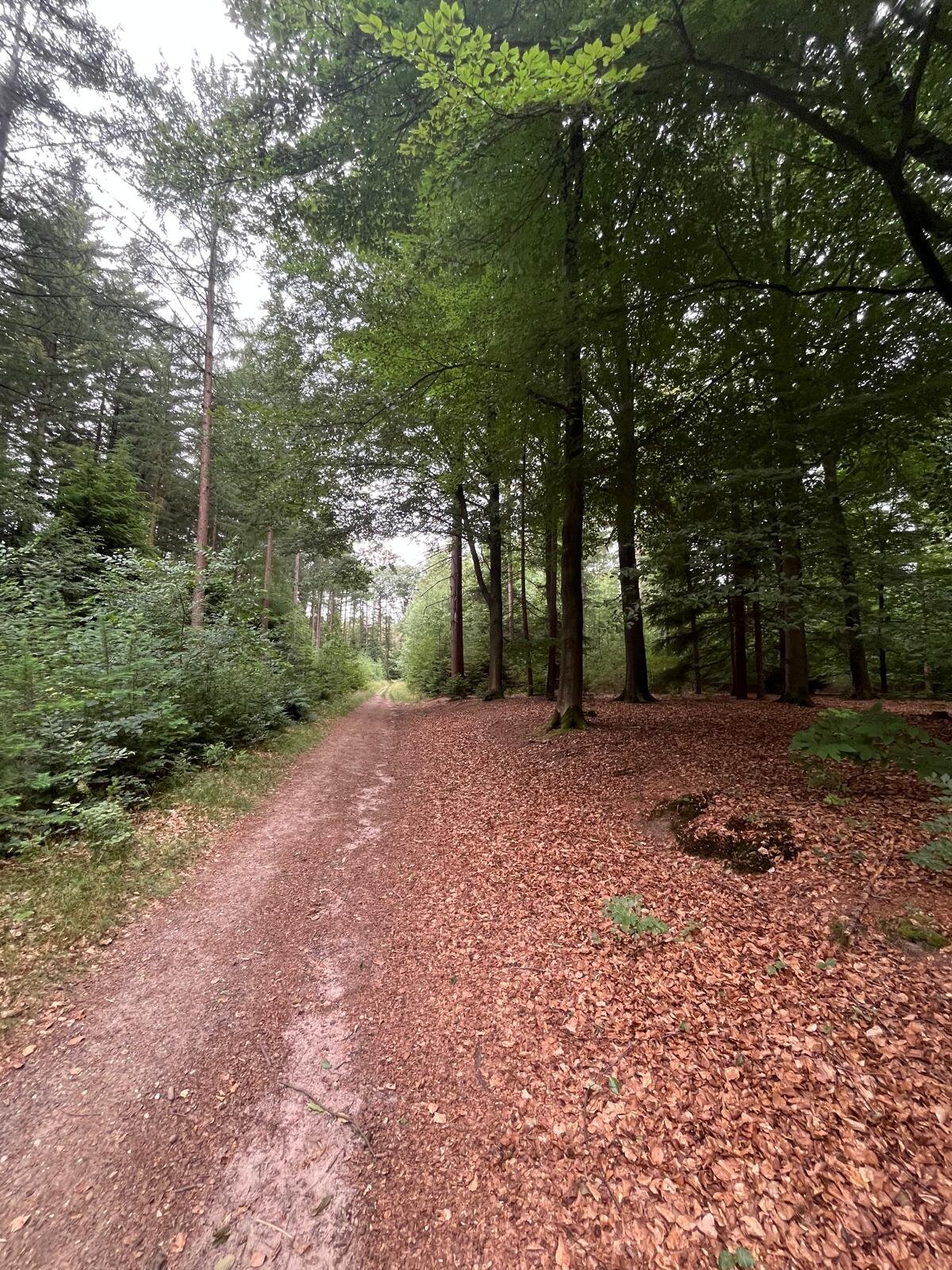 Buitenplaats De Bergse Bossen-官方