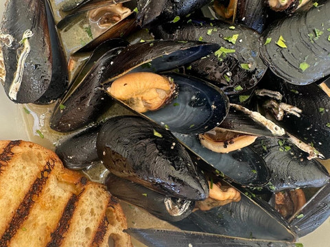 Penelope | Chill主图