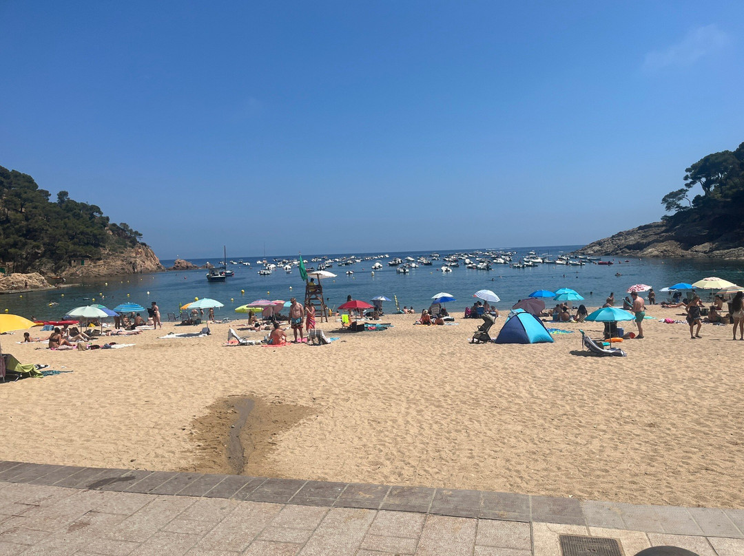 Tamariu Beach-Tamariu必去景点