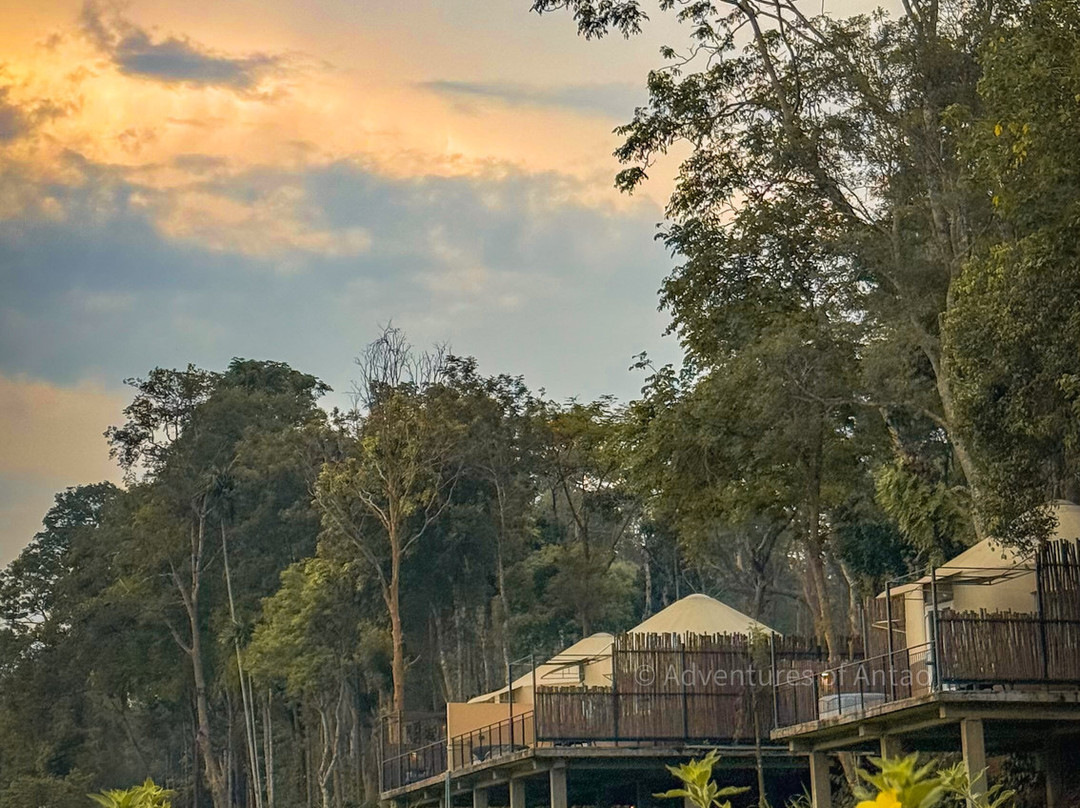 Machaan Wilderness Lodge主图