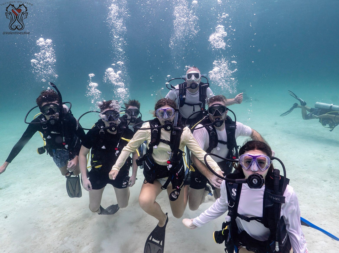 Valentine's Dive Center-哈勃岛必去景点